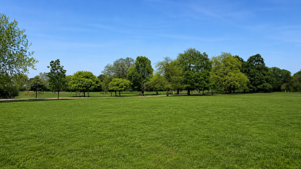 Dulwich Park