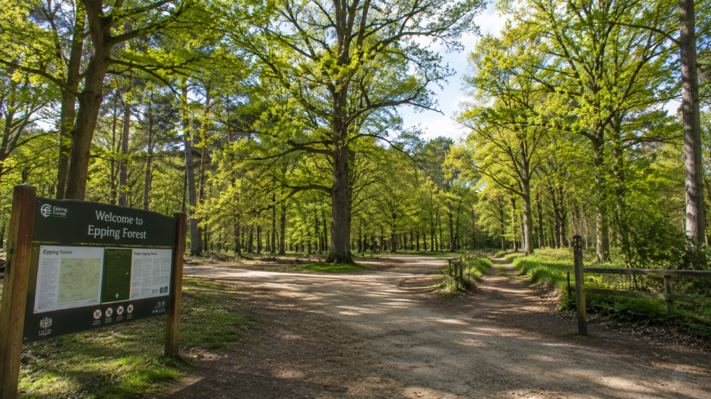 Epping Forest