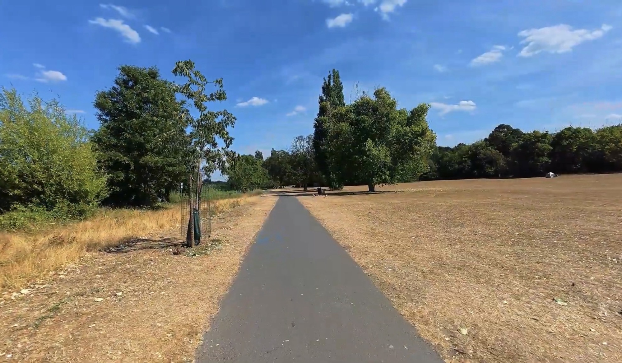 Surfaced path running through open grass at Danson Park in summer