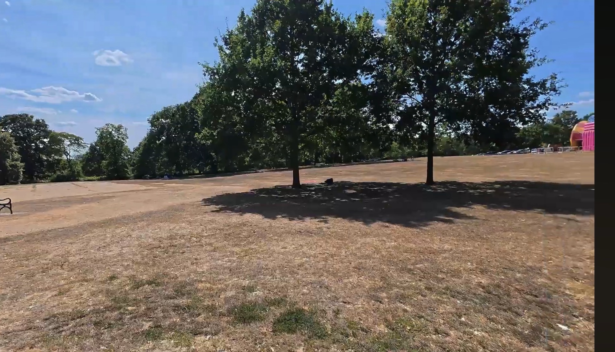 Open parkland with mature trees and shade at Danson Park