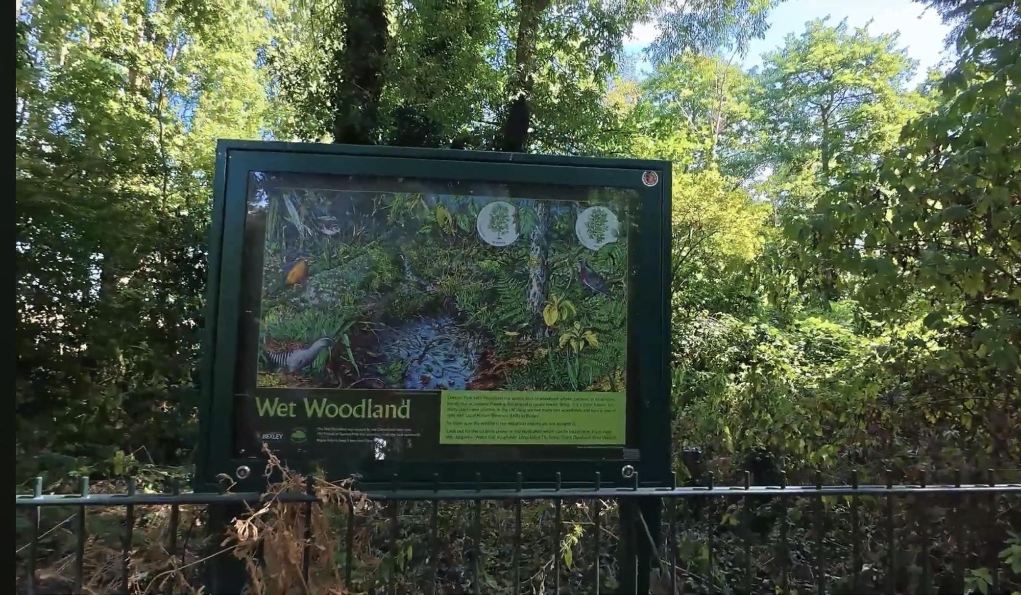 Wet Woodland interpretation board behind railings at Danson Park