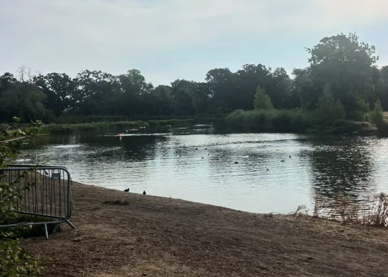 Beckenham Place Park swimming lake with swimmers and waterfowl at dusk