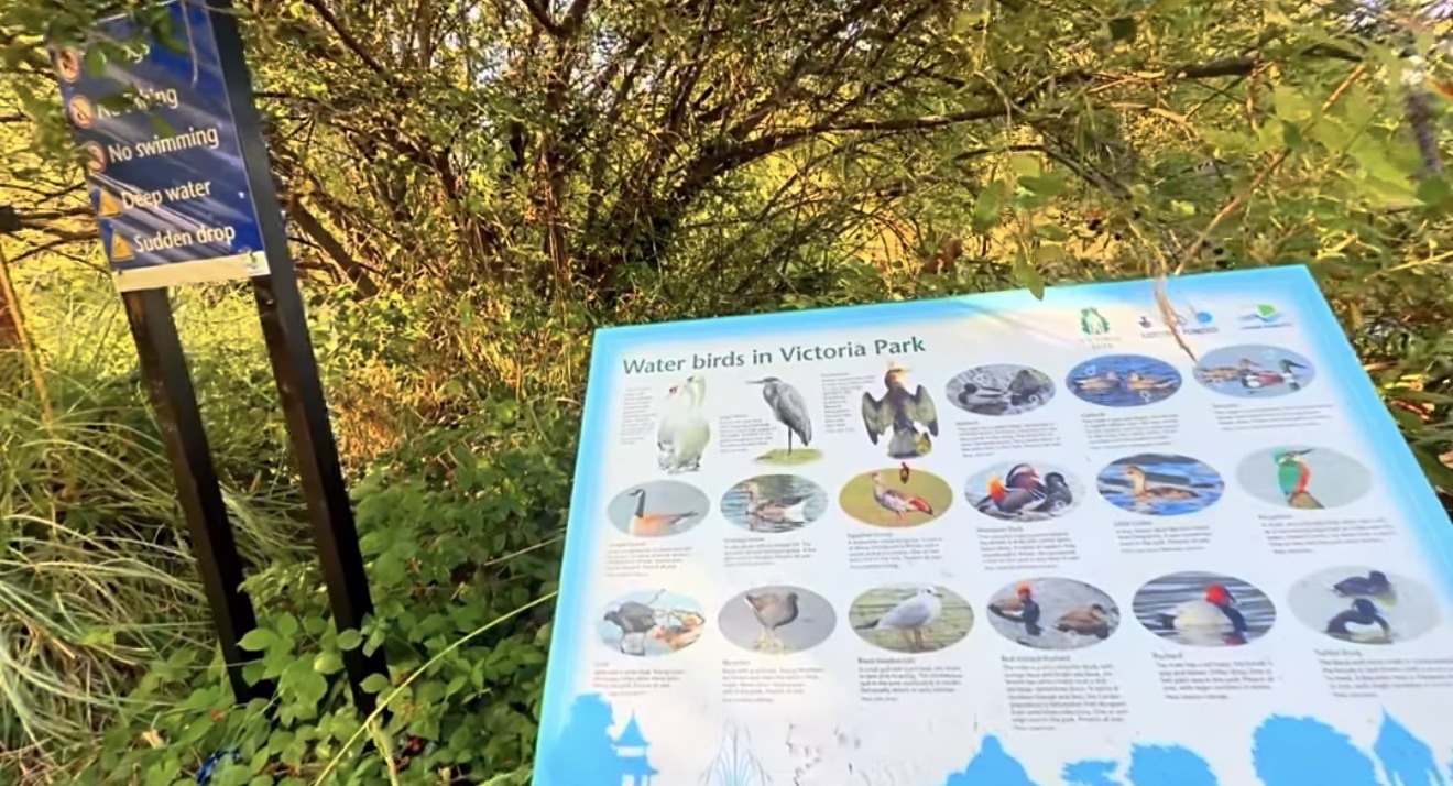 Water birds in Victoria Park information board illustrating species found on the lake