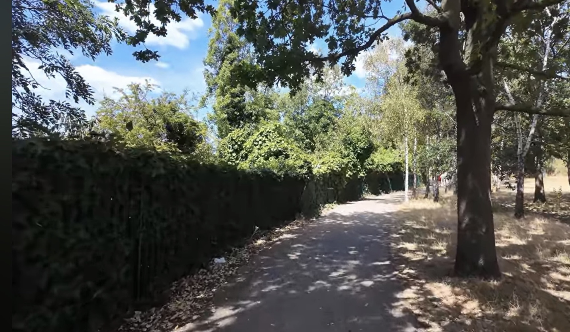 Shaded tarmac path running alongside a tall hedge in Finsbury Park