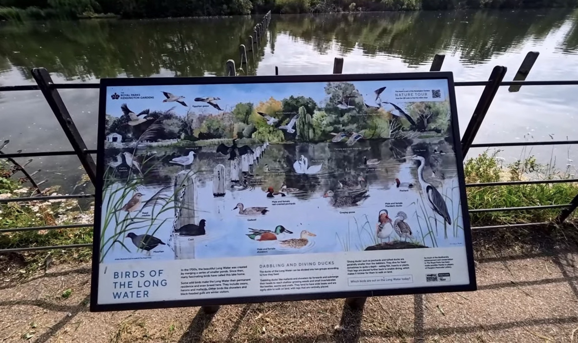 Birds of the Long Water interpretation board fixed to railings beside the lake in Kensington Gardens