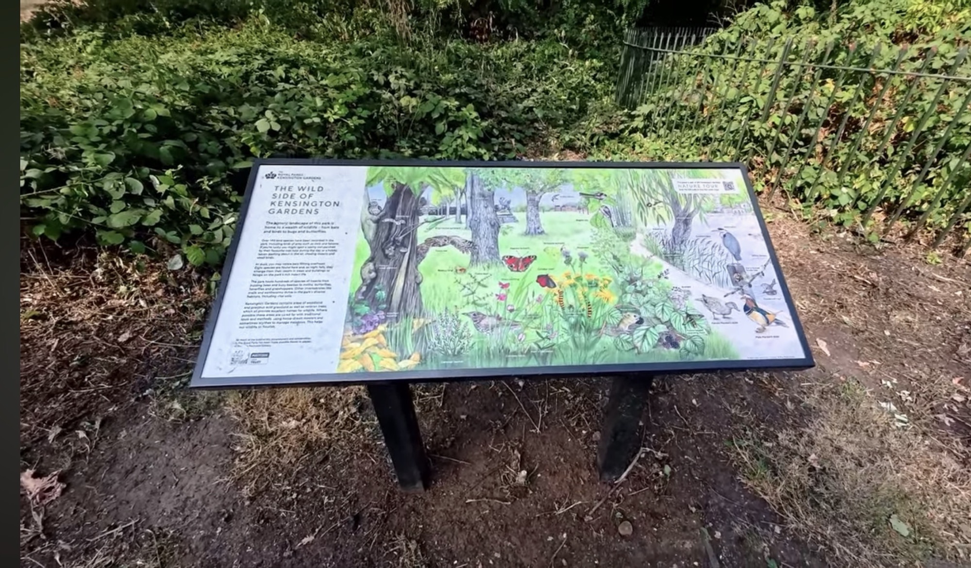 The Wild Side of Kensington Gardens interpretation board illustrating the park's birds, bats and insects