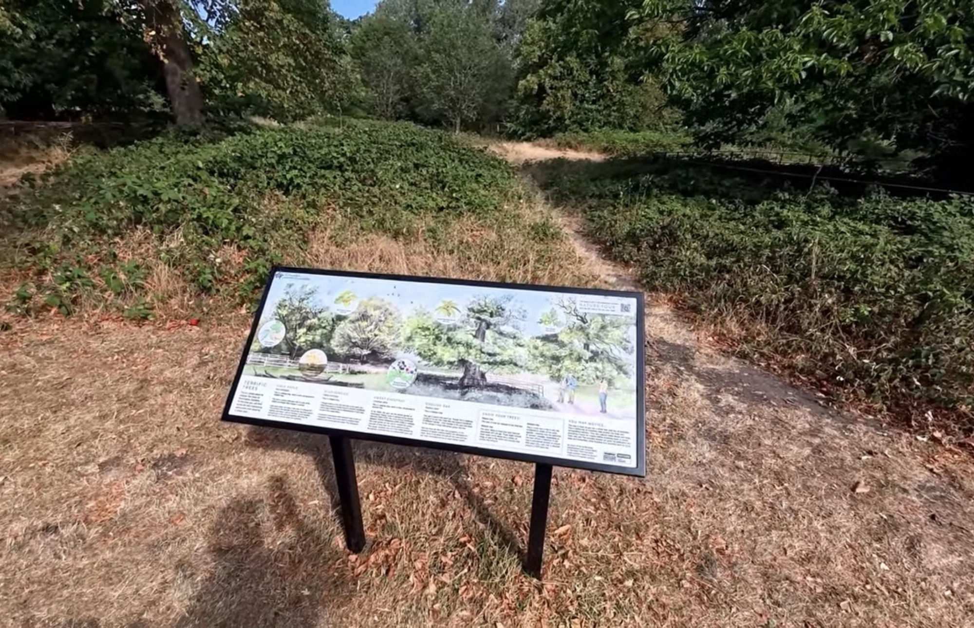 Terrific Trees interpretation board beside a woodland path on the Kensington Gardens Nature Tour