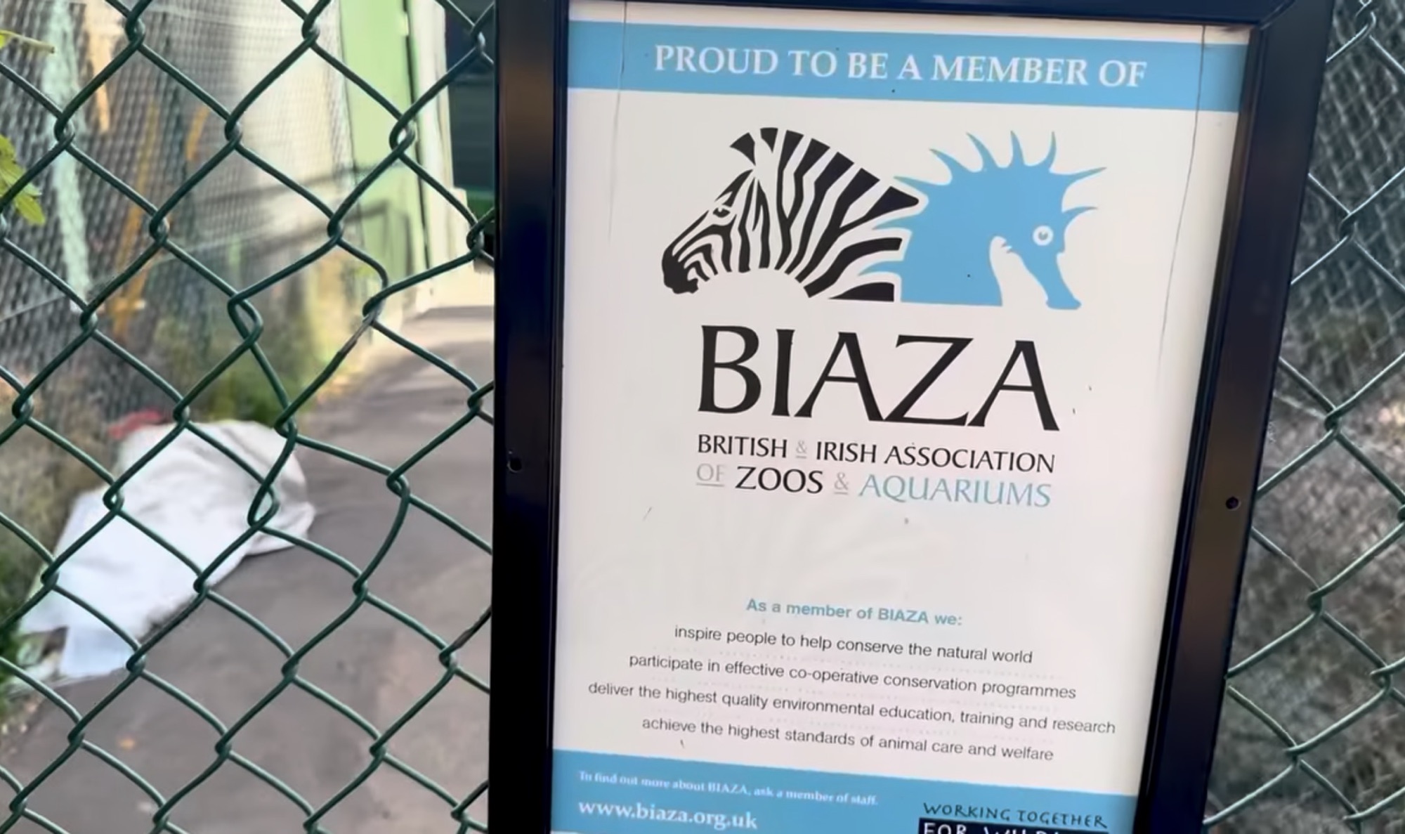 BIAZA membership sign fixed to a fence at Golders Hill Park Zoo