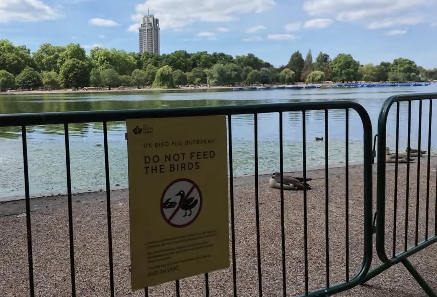 UK Bird Flu Outbreak Do Not Feed The Birds sign fixed to a barrier beside the Serpentine, with resting ducks nearby