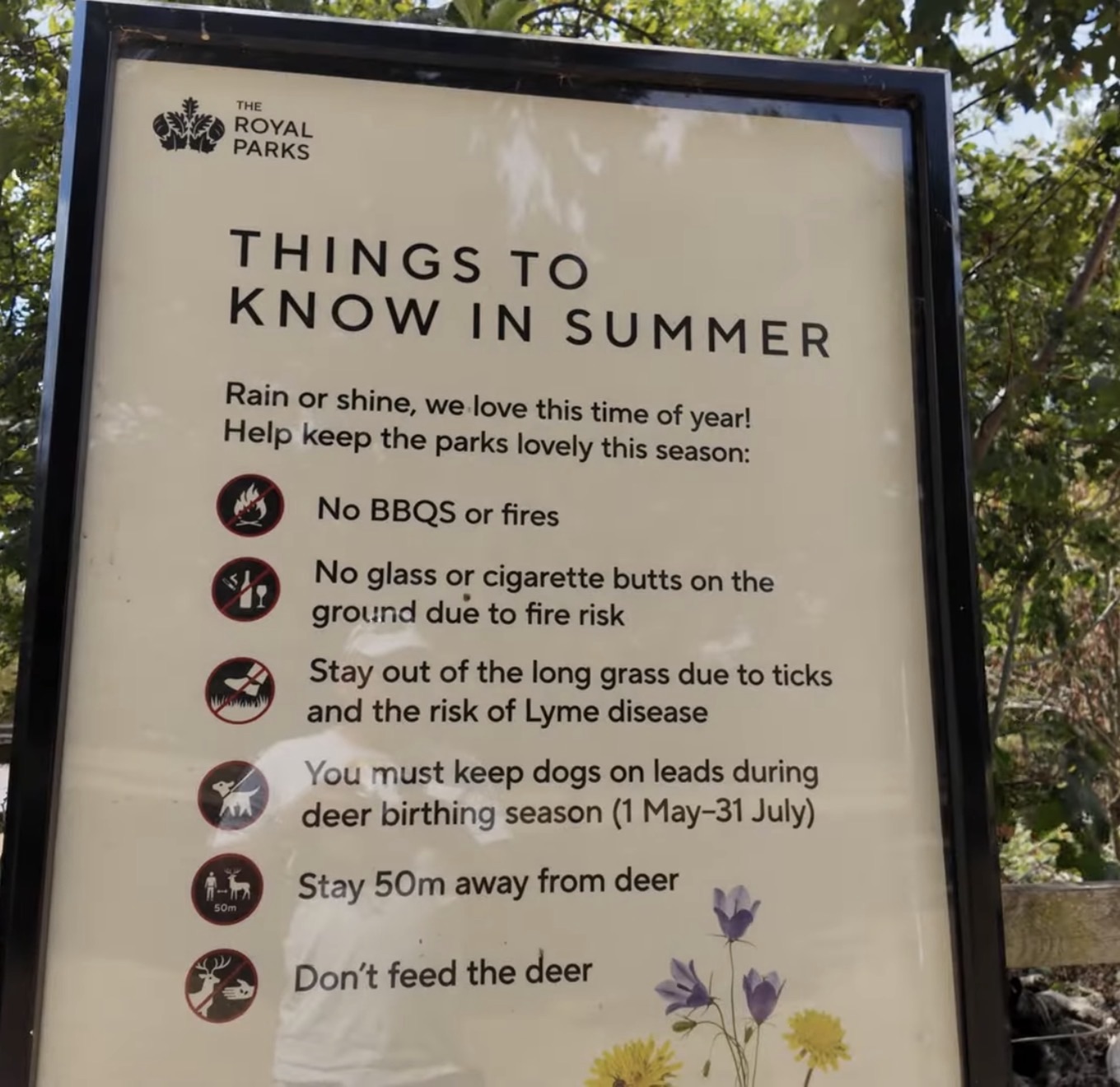 The Royal Parks Things to Know in Summer sign listing rules about fires, ticks, dog leads and keeping distance from deer