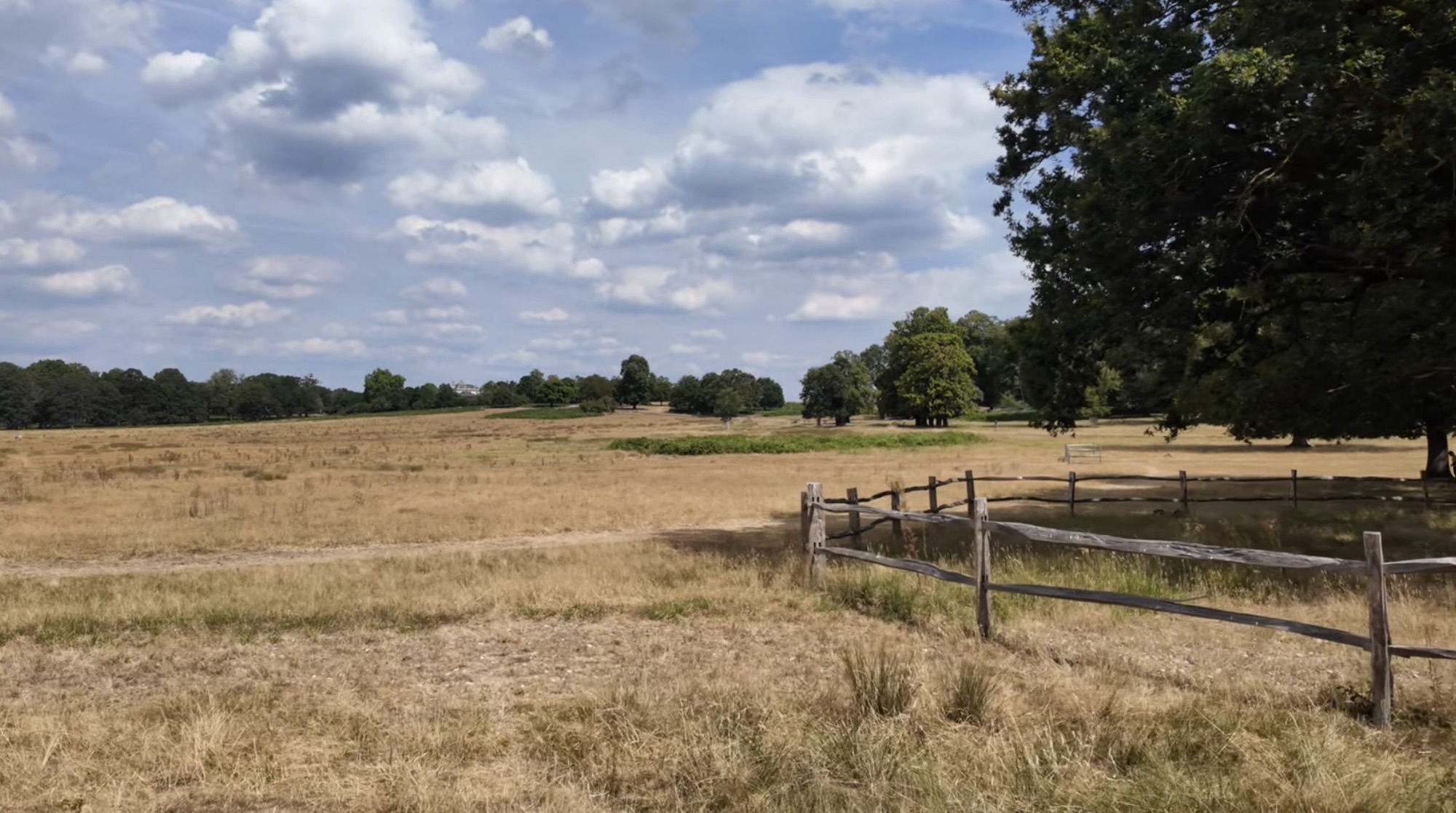 Open grassland in Richmond Park with a wooden fence bordering a small pond and mature trees in the distance