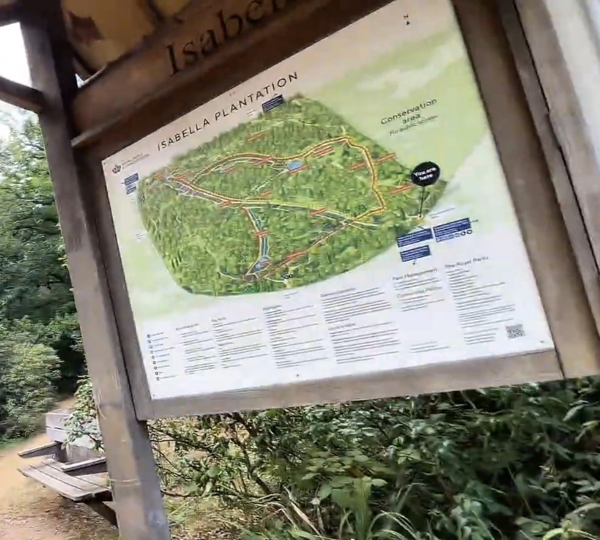 Illustrated map board for Isabella Plantation showing the conservation area, paths and a You Are Here marker