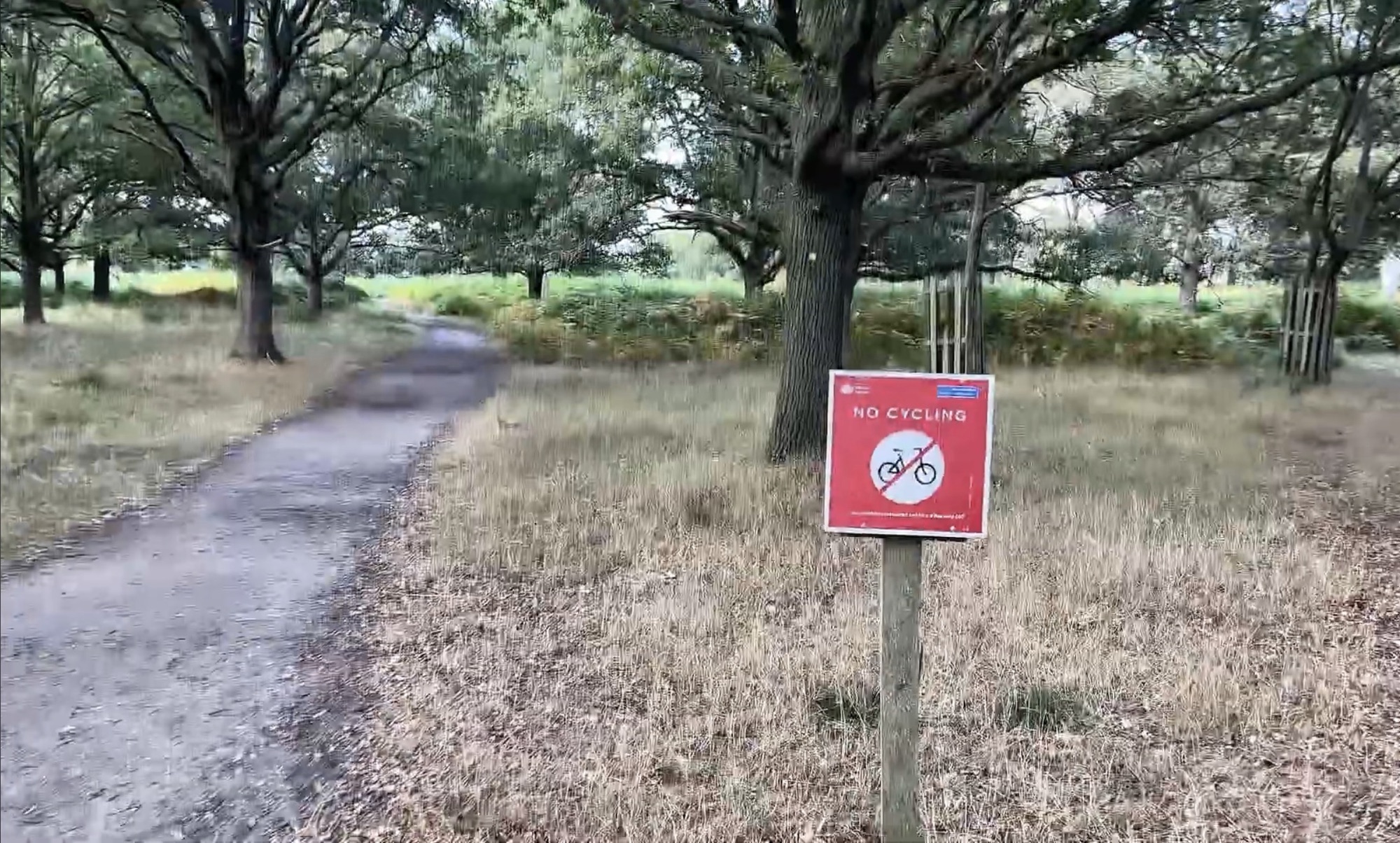 A red No Cycling sign beside a footpath in Richmond Park, marking a route reserved for walkers