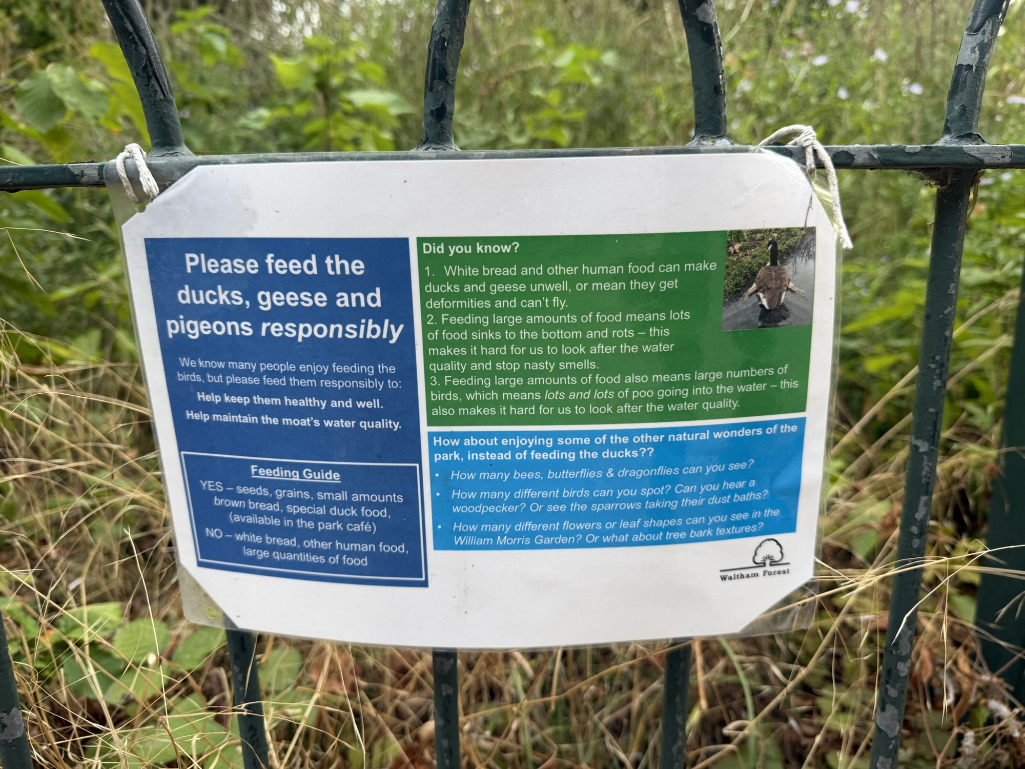 Please feed the ducks, geese and pigeons responsibly sign on the railings by the Lloyd Park moat
