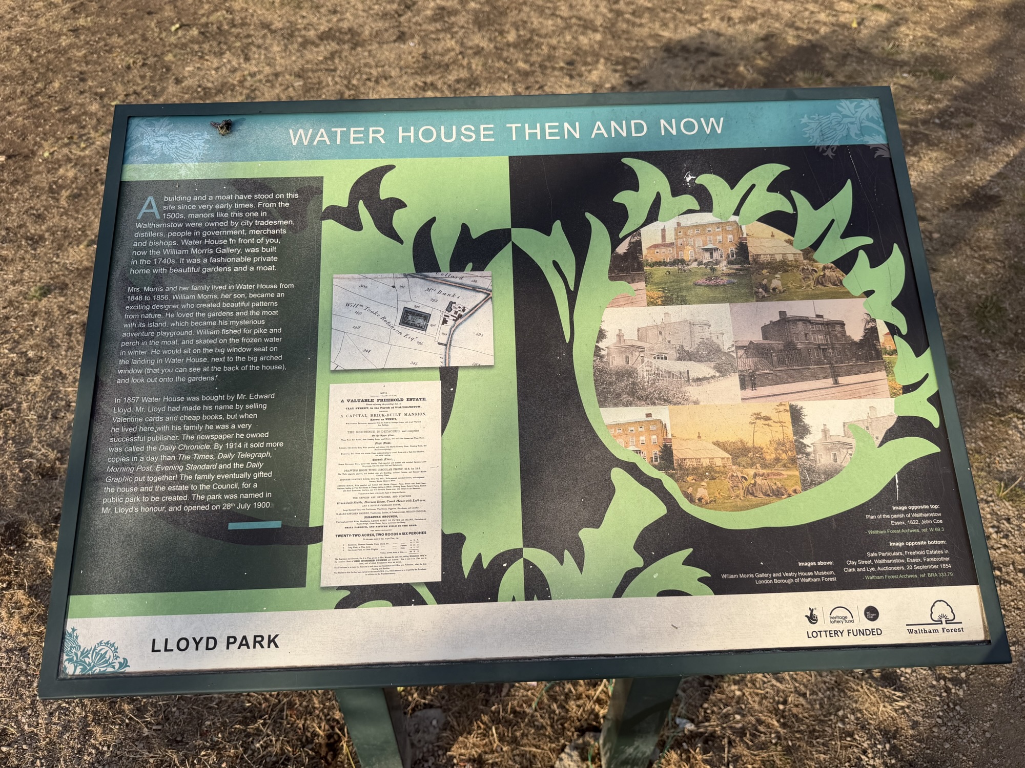 Water House Then and Now history board at Lloyd Park with archive photos of the building