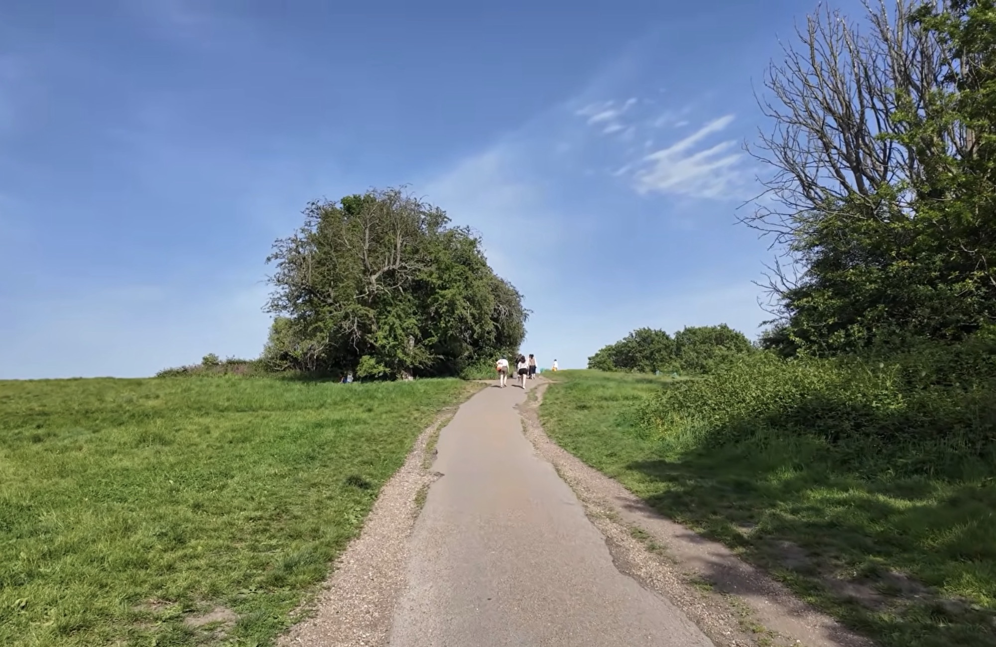 People walking along a path towards a large tree on top of a grassy hill at Hampstead Heath