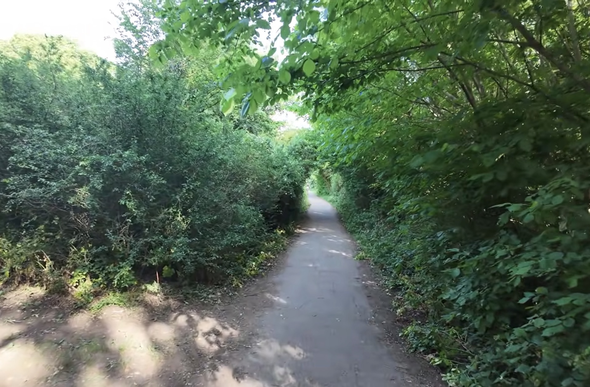 Narrow tree-lined path forming a green tunnel through woodland on Hampstead Heath