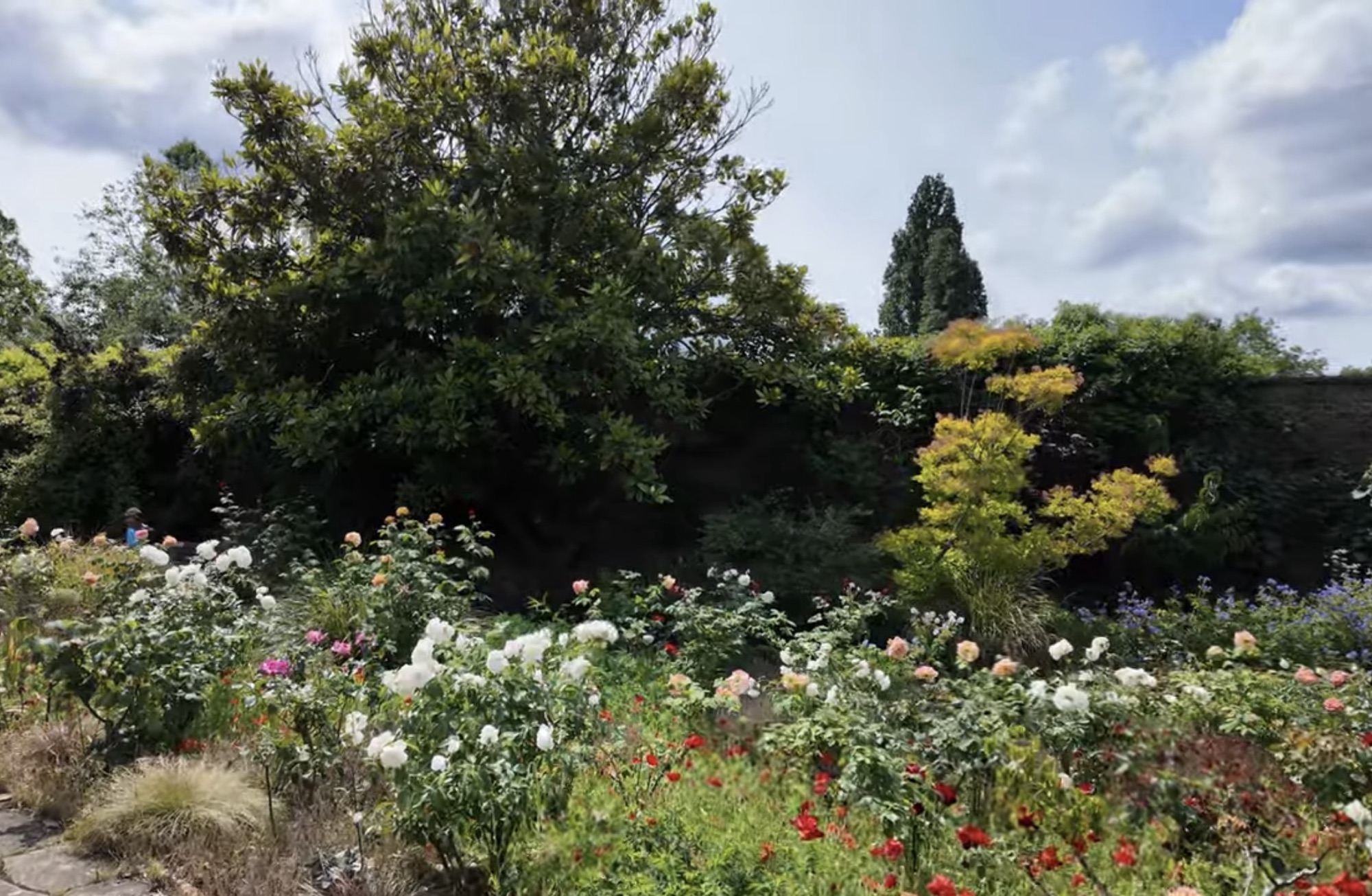 Colourful rose beds in full bloom inside the Walled Garden at Brockwell Park