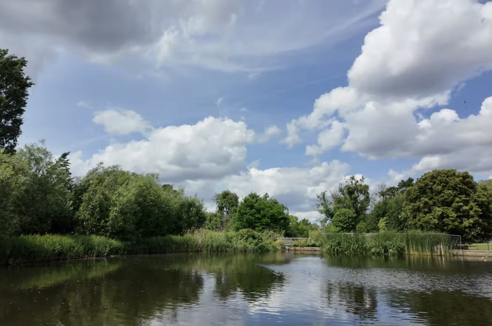The pond at Brockwell Park reflecting clouds and surrounding trees on a summer day