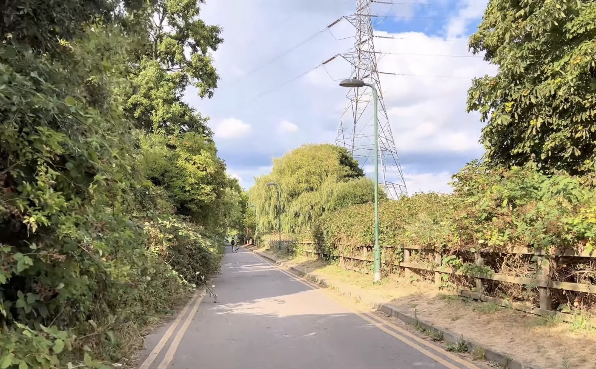 Tree-lined cycle path in Lee Valley with an electricity pylon in the distance