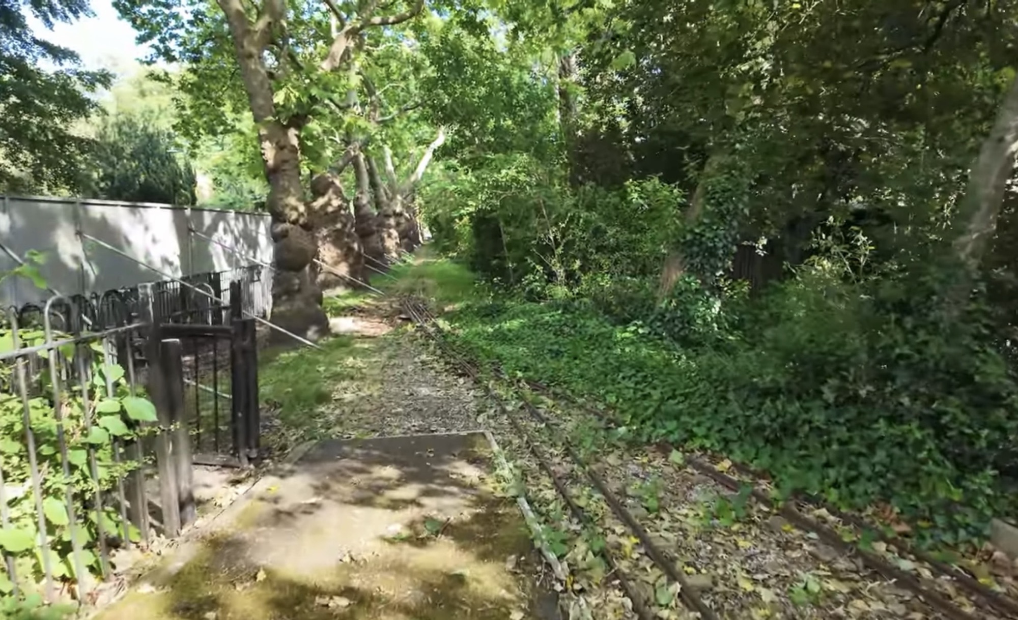 Overgrown miniature railway track running alongside the path in Barking Park