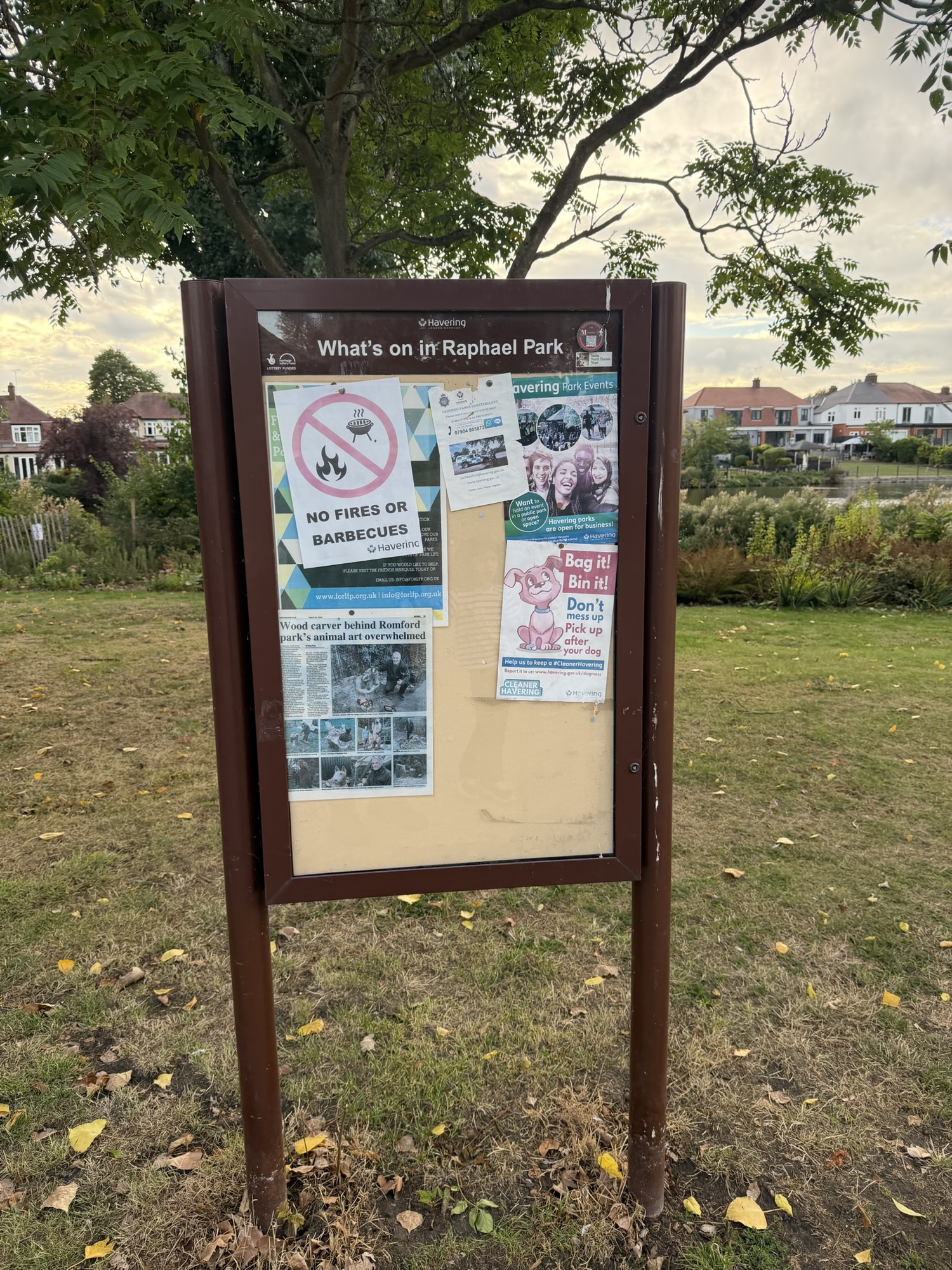 Community noticeboard headed What's on in Raphael Park with park rules and local news clippings