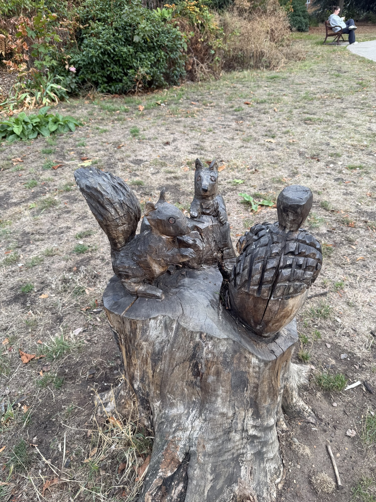 Carved wooden sculpture of squirrels on a tree stump in Raphael Park