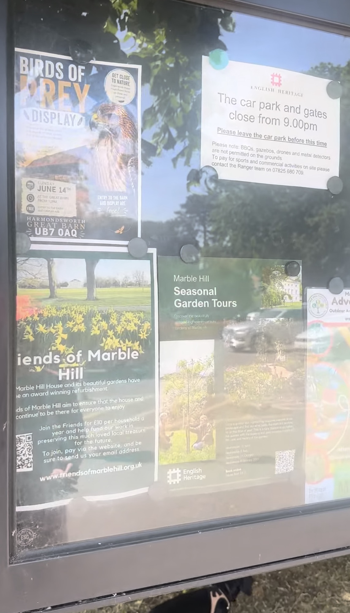 Community noticeboard with posters for a birds of prey display, the Friends of Marble Hill and seasonal garden tours