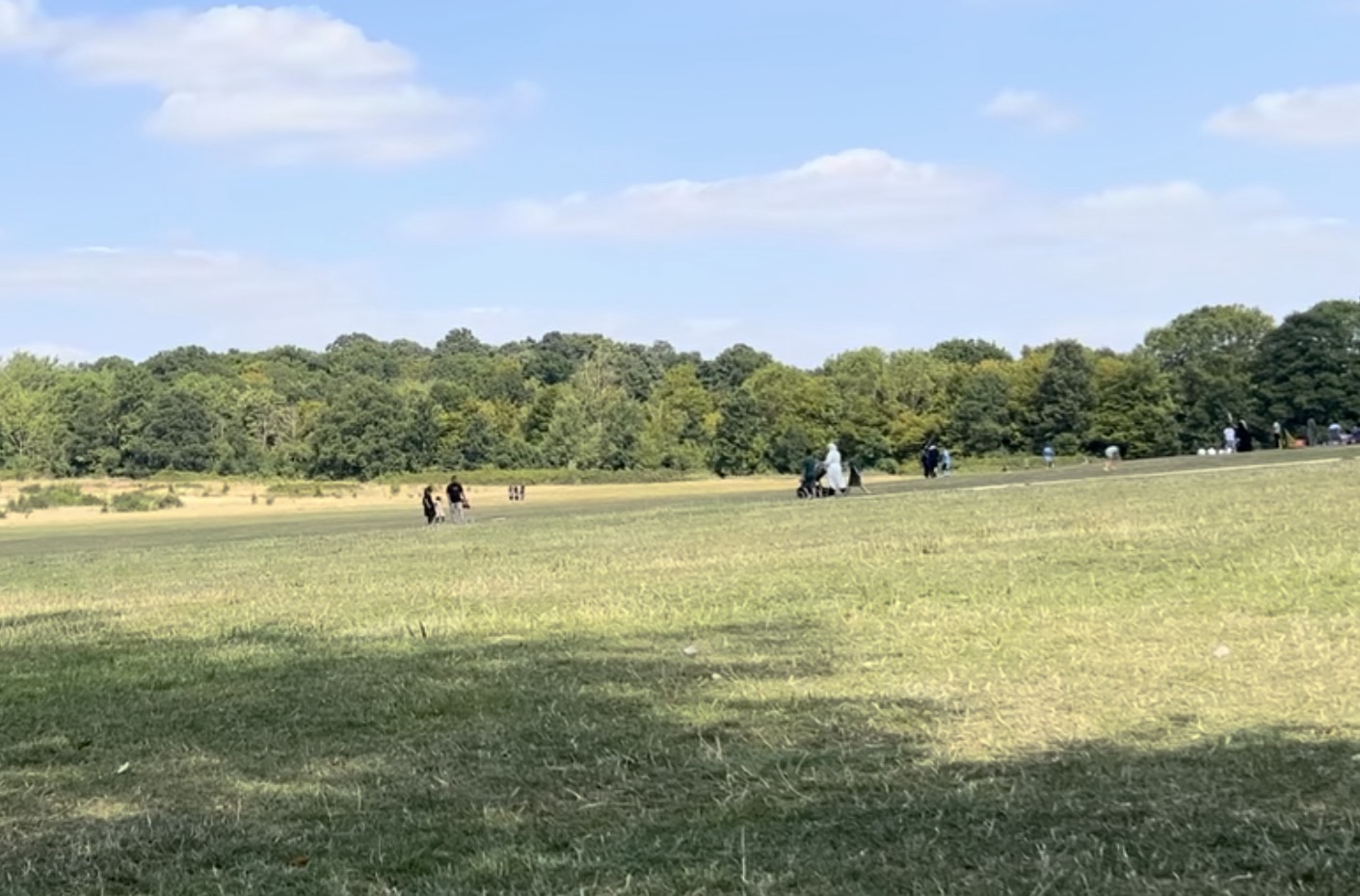 Wide open grass field with families walking and woodland behind at Hainault Forest Country Park
