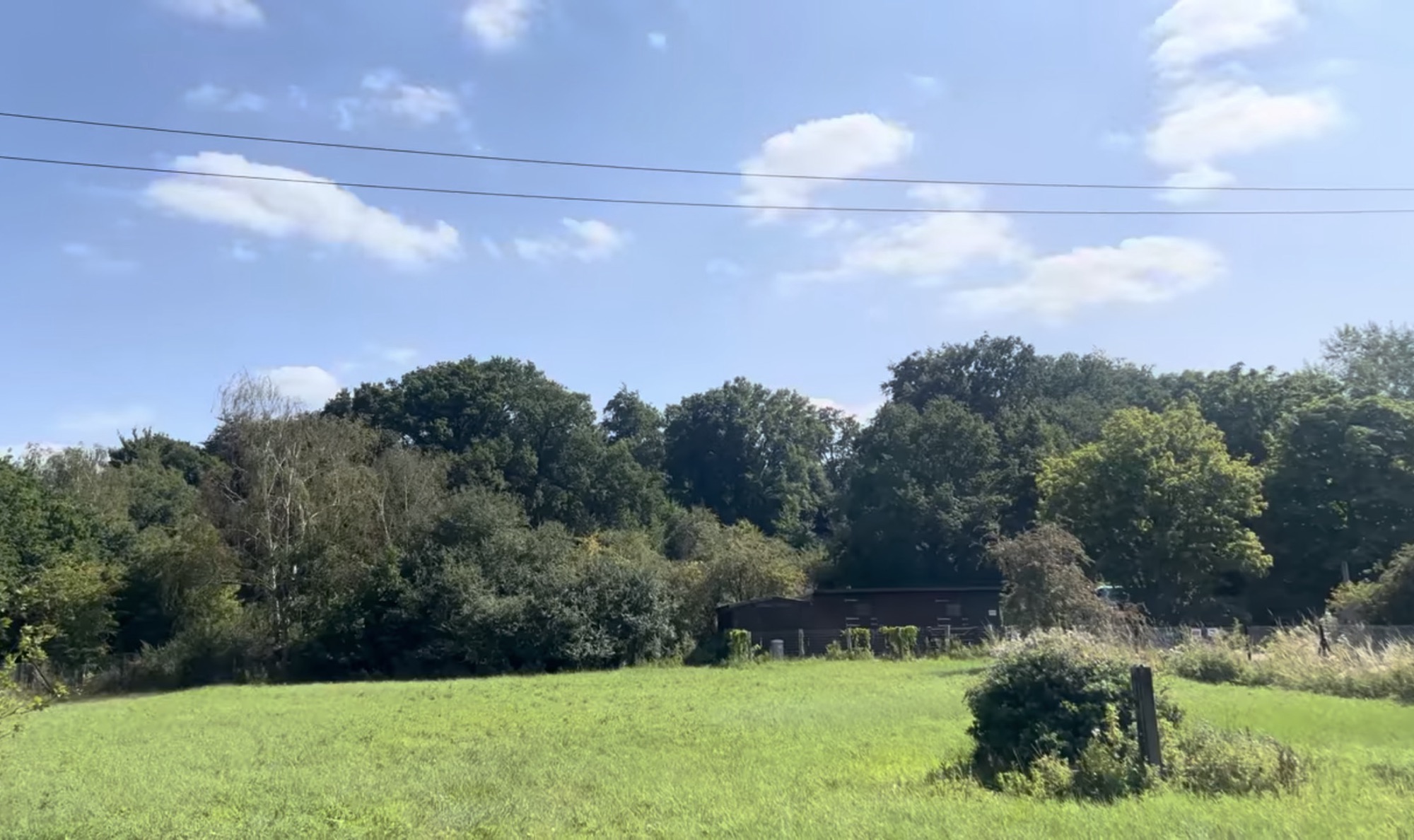 Green grassland in front of woodland and a wooden farm building at Hainault Forest Country Park