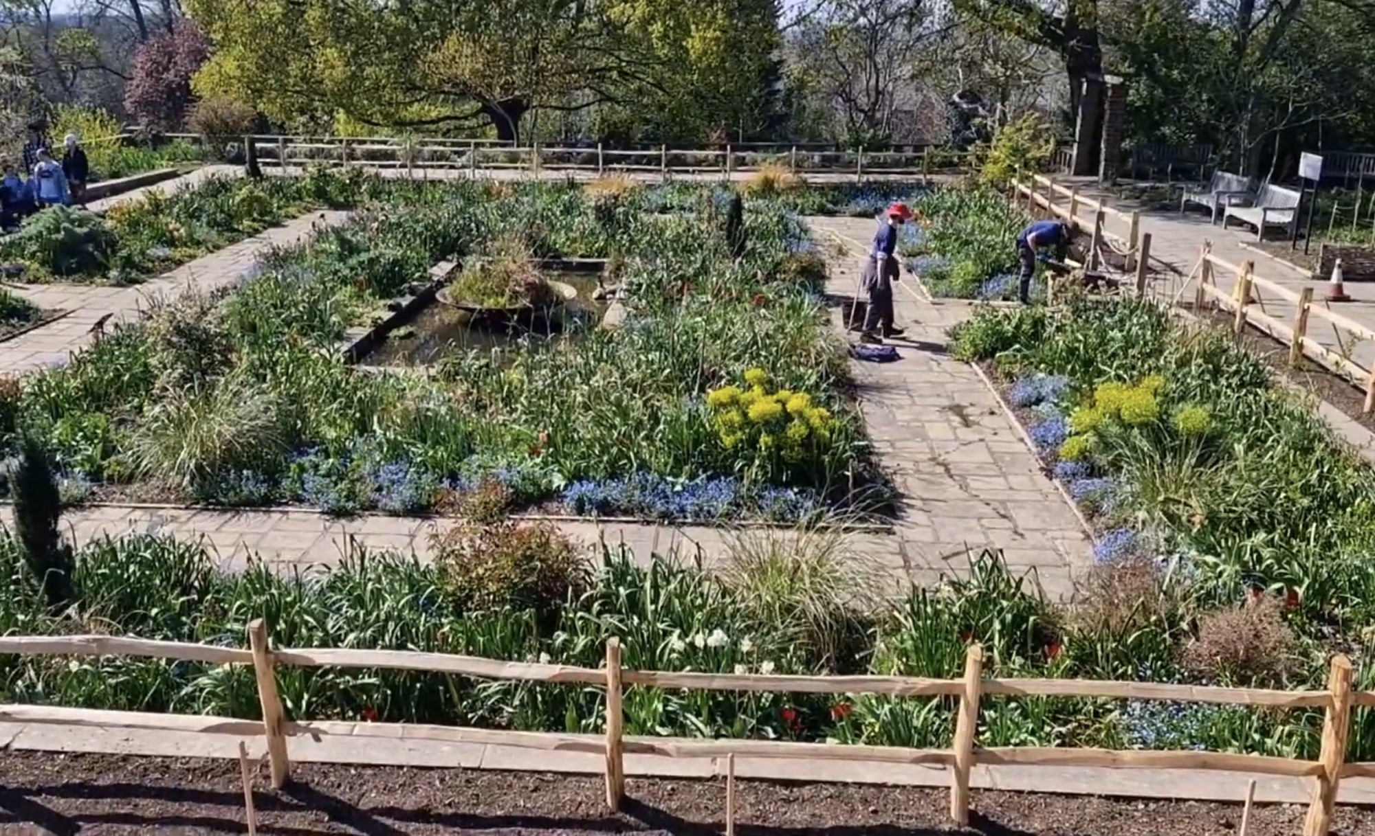 The Sunken Gardens at the Horniman with formal beds, a pond and gardeners working on the planting