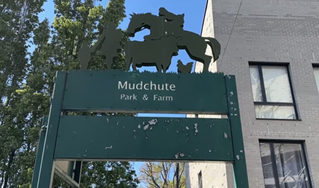 Mudchute Park & Farm: Free City Farm, Donkeys & Canary Wharf Views