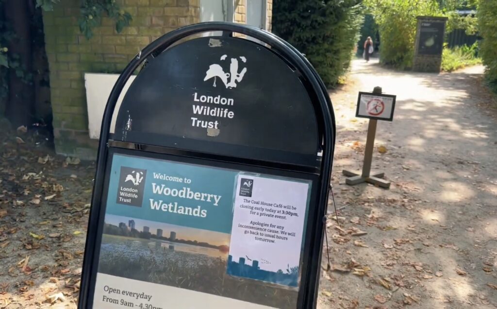 Woodberry Wetlands: Reed Beds, Coal House Café & Skyline Views