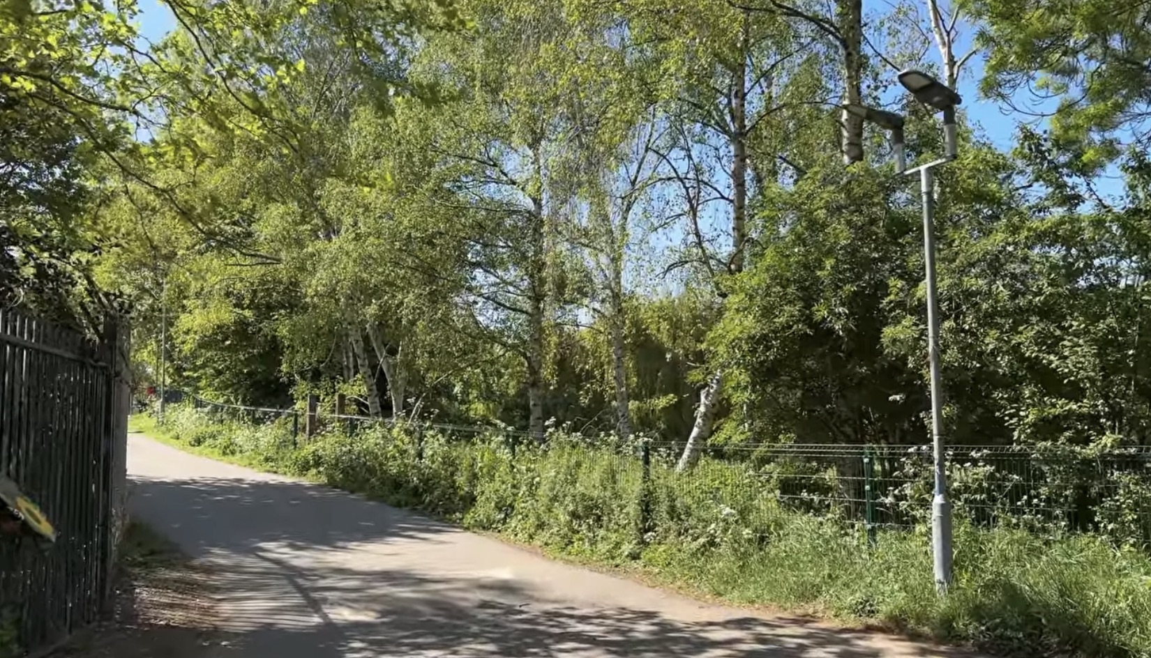 Path running beside trees and a lamp post at Mudchute Park