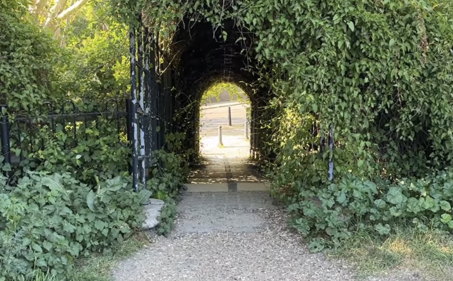 Path leading through a leafy ivy-covered arch and gate at Mudchute Park and Farm