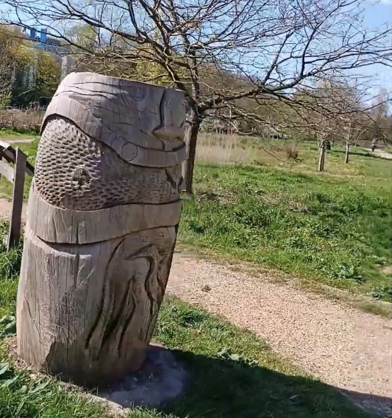 Carved oak sculpture beside a gravel path in the wetland area of Boston Manor Park