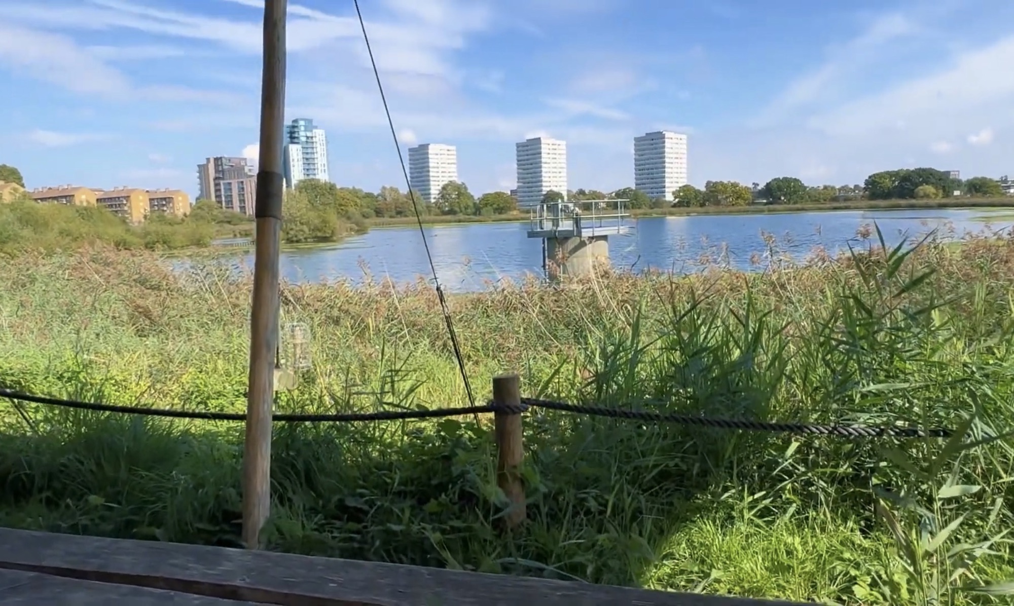 View from a timber shelter across tall reeds to a concrete valve tower in the water and three white tower blocks